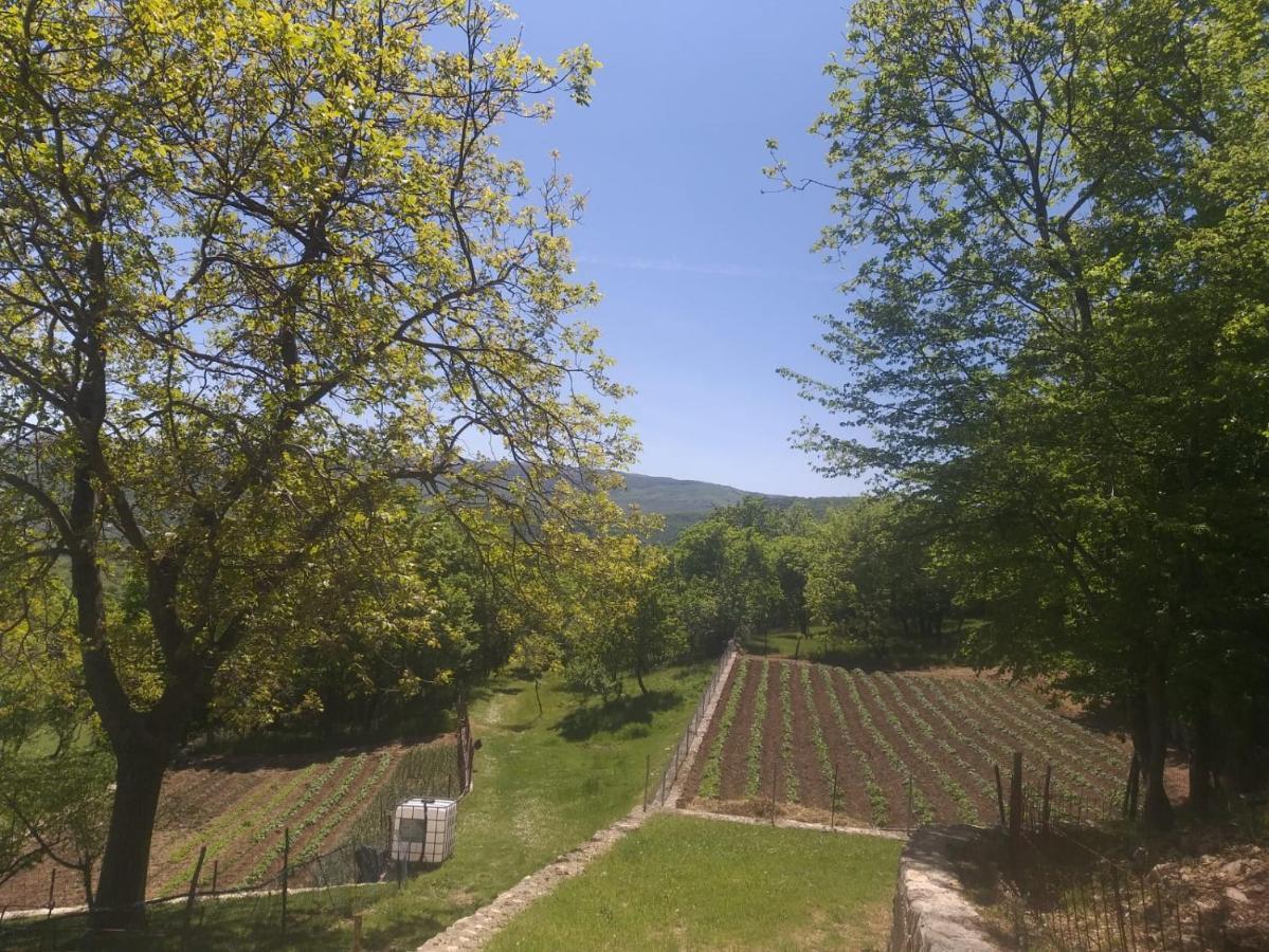 Apartman Ana Vrlika Luaran gambar