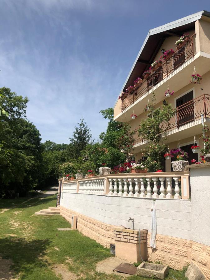 Apartman Ana Vrlika Luaran gambar